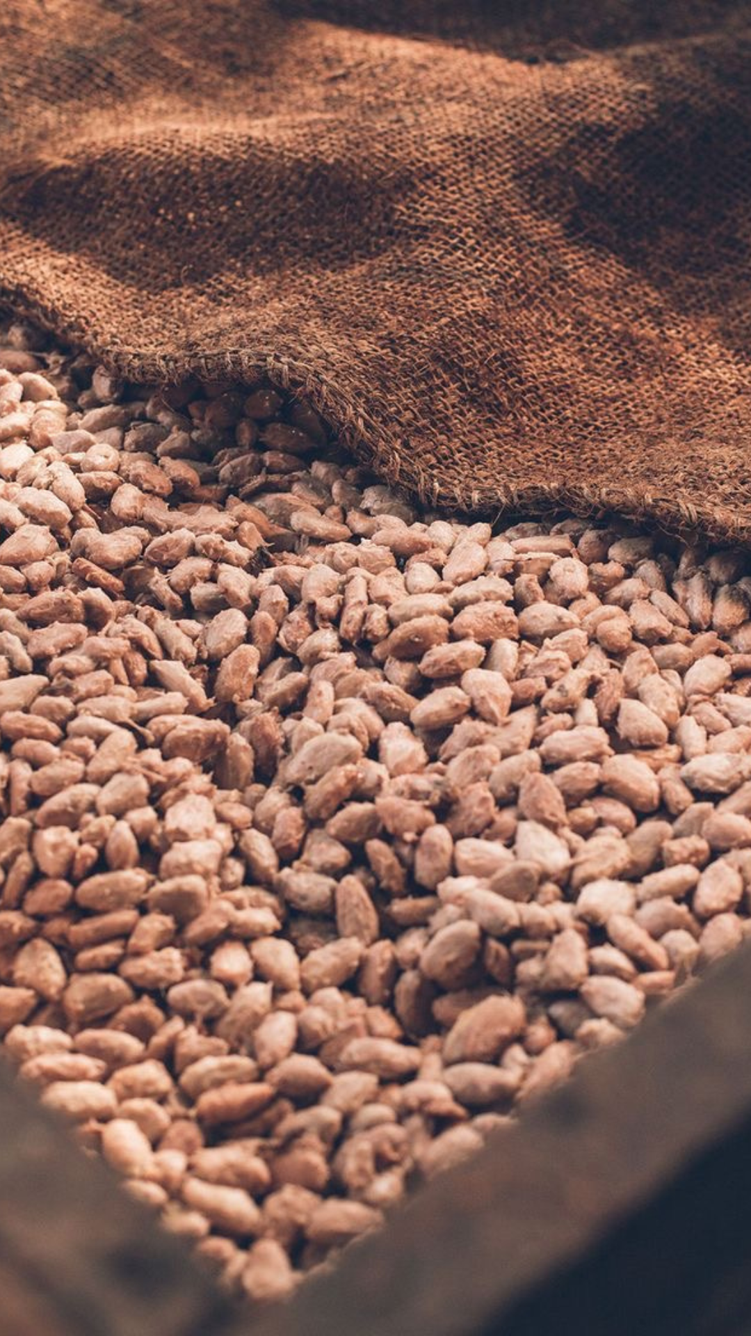 The long, patient work of flavour.